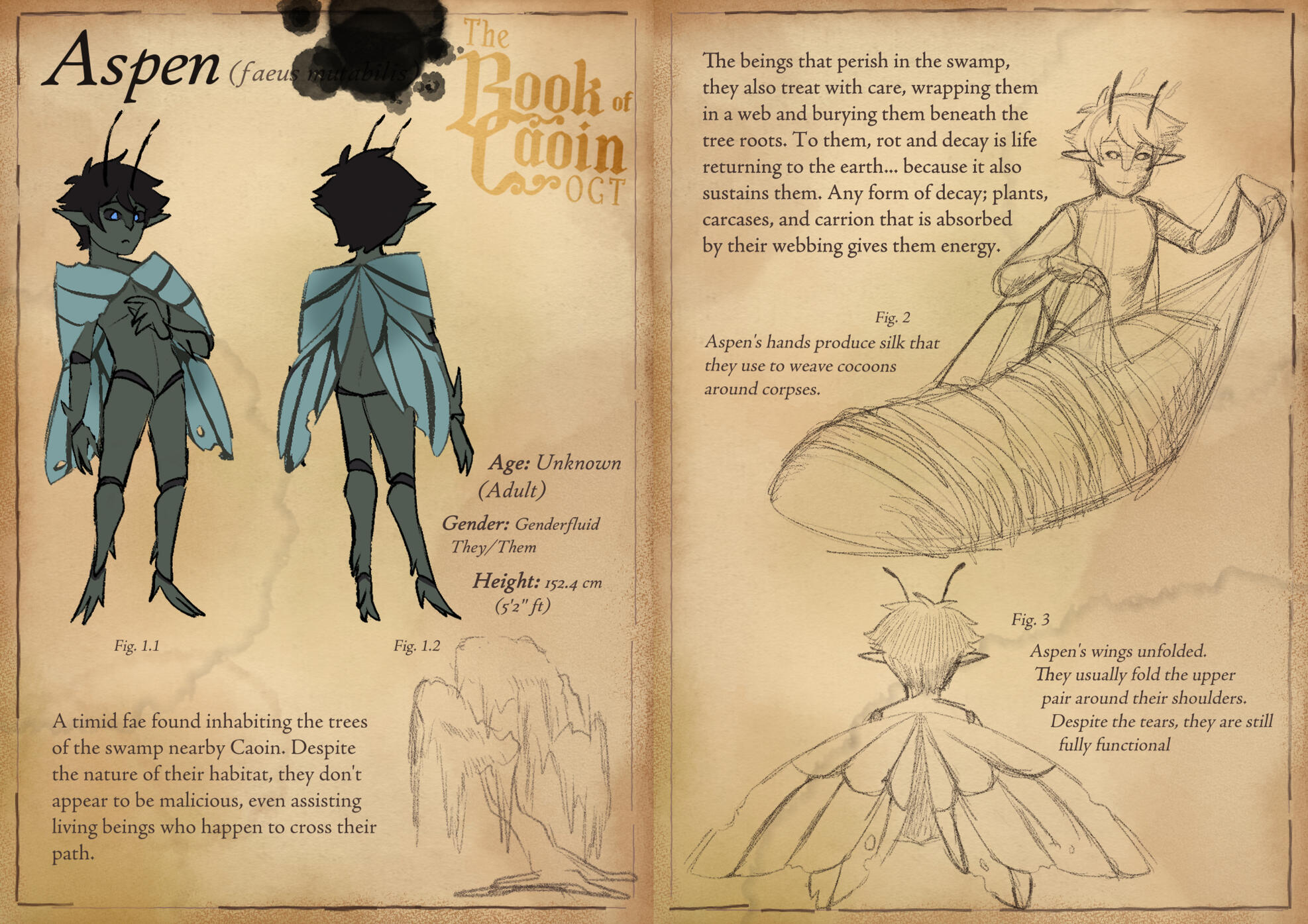 Made for "Book of Caoin"